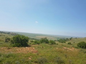 img-20161217-wa0004-copy