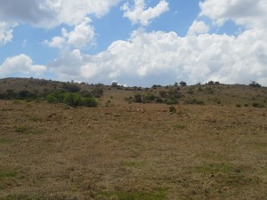 20131026_125028 