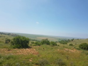IMG-20161217-WA0004  