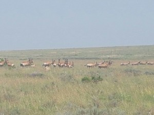 IMG-20161218-WA0006  