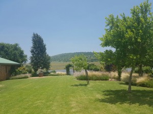 IMG-20161218-WA0013